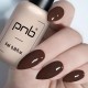 Гел лак PNB 8 мл 050